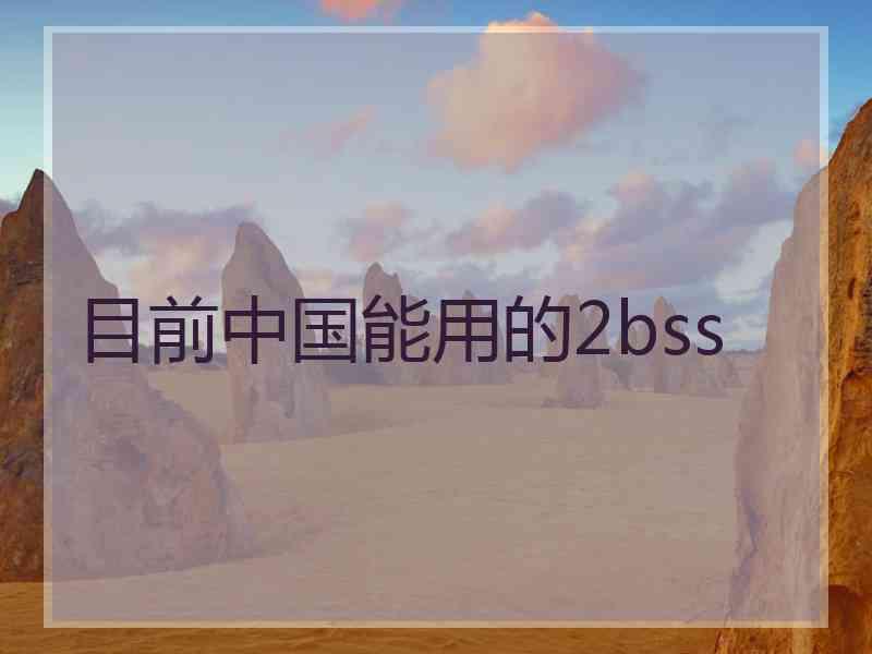 目前中国能用的2bss