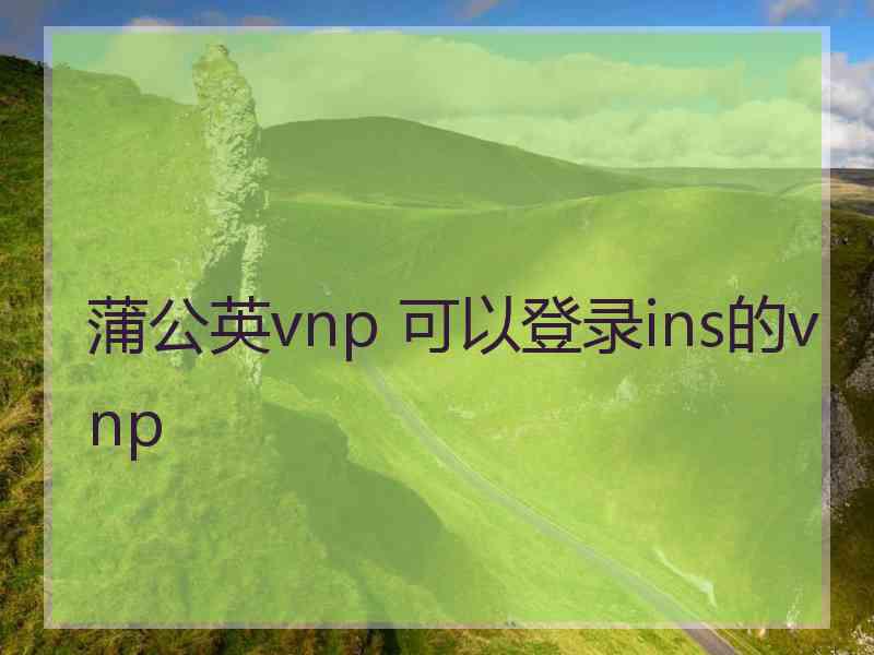 蒲公英vnp 可以登录ins的vnp