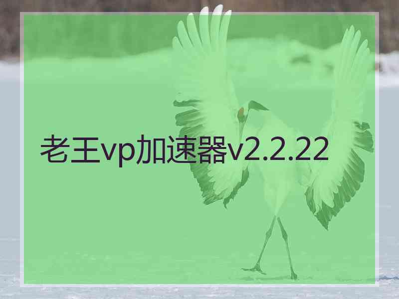 老王vp加速器v2.2.22