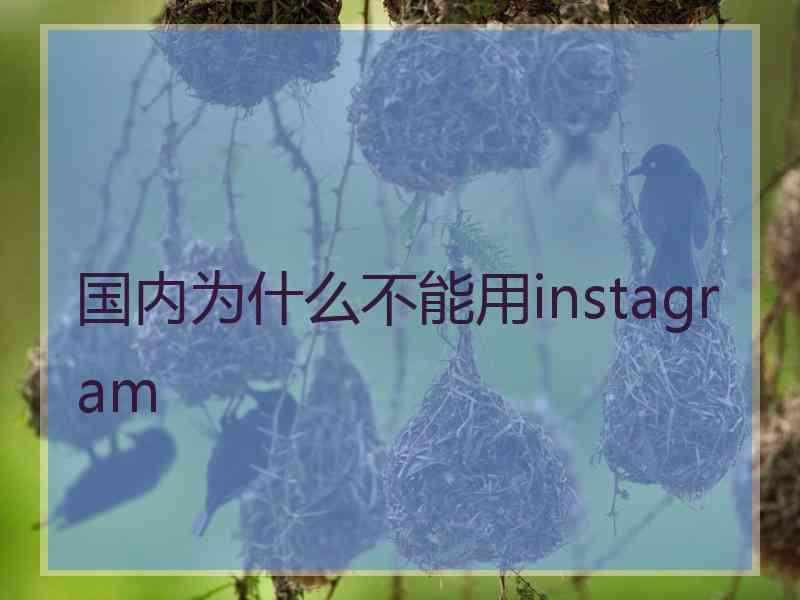 国内为什么不能用instagram