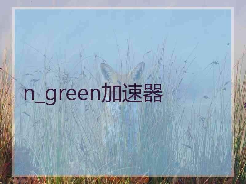 n_green加速器