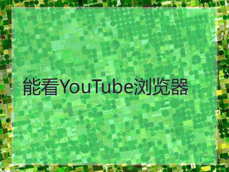 能看YouTube浏览器