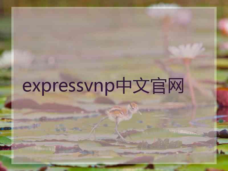 expressvnp中文官网