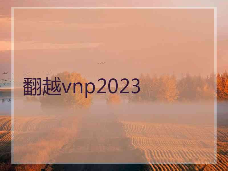 翻越vnp2023