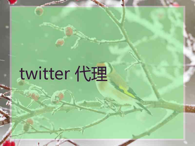 twitter 代理