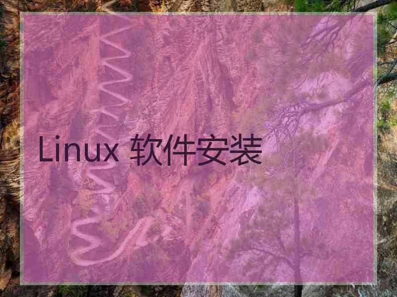 Linux 软件安装