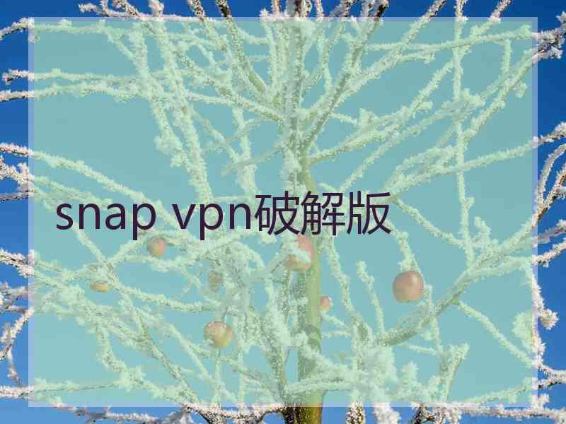 snap vpn破解版