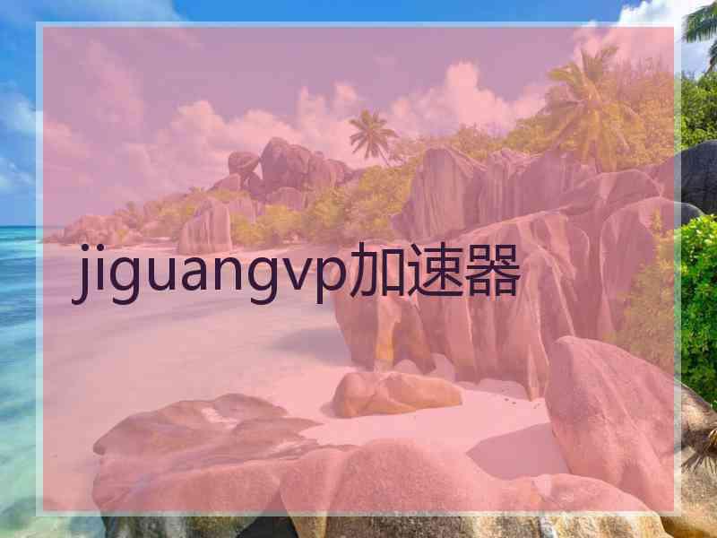 jiguangvp加速器