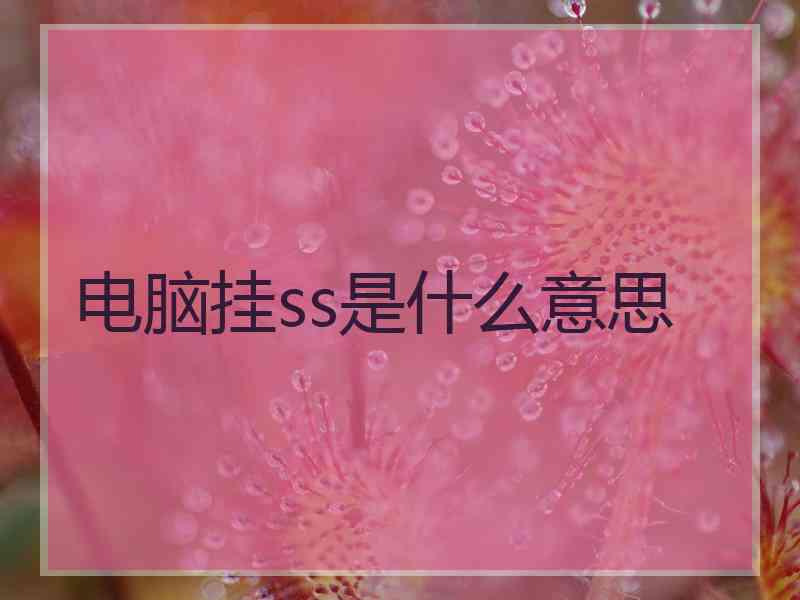 电脑挂ss是什么意思