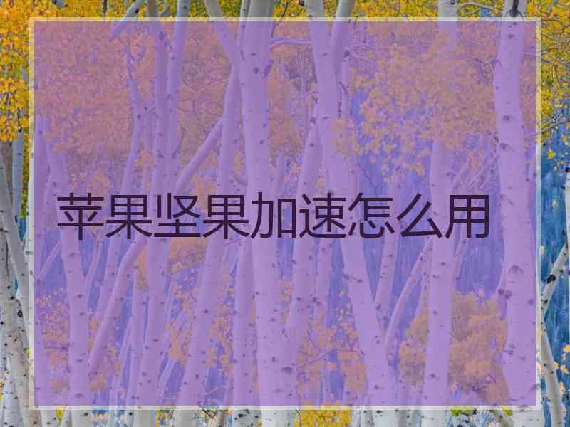 苹果坚果加速怎么用