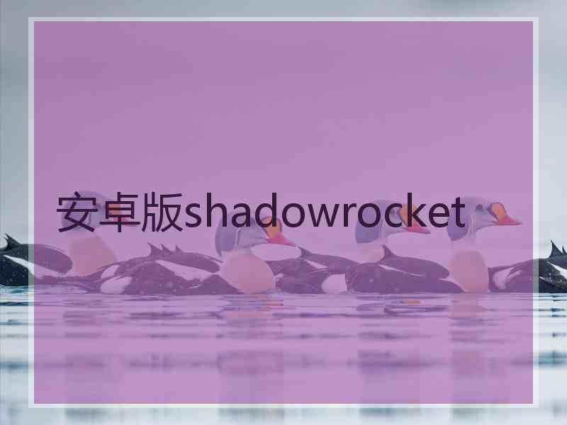 安卓版shadowrocket